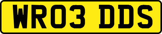 WR03DDS