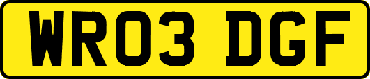 WR03DGF