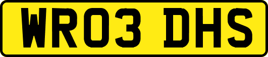 WR03DHS