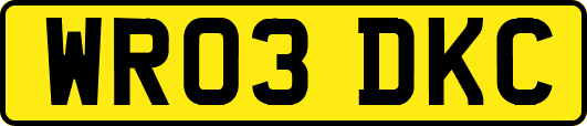 WR03DKC