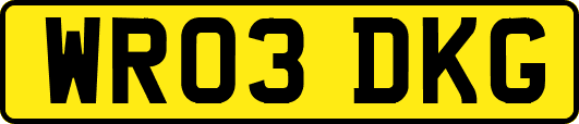 WR03DKG