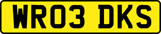 WR03DKS