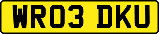 WR03DKU