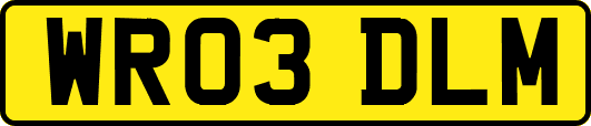 WR03DLM