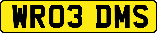 WR03DMS