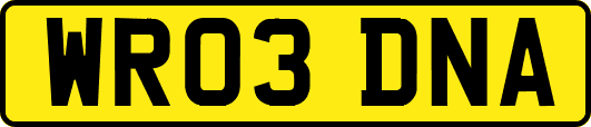 WR03DNA