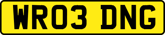 WR03DNG