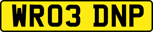 WR03DNP