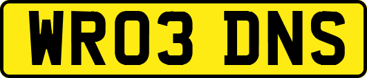 WR03DNS