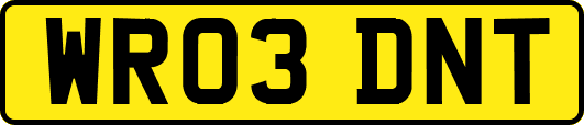 WR03DNT