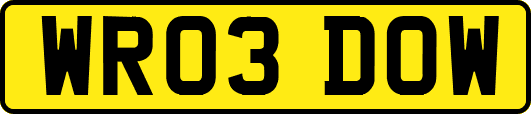WR03DOW