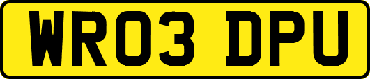 WR03DPU