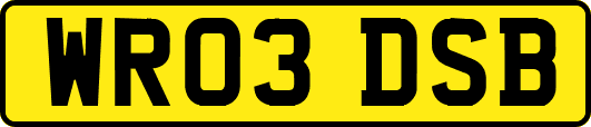WR03DSB