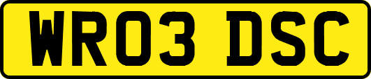 WR03DSC
