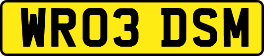 WR03DSM