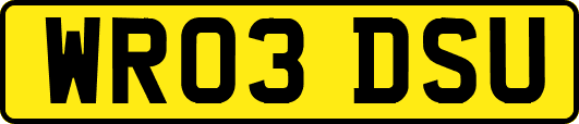 WR03DSU