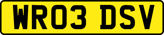 WR03DSV