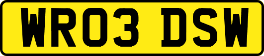 WR03DSW