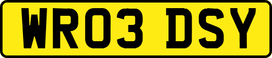 WR03DSY