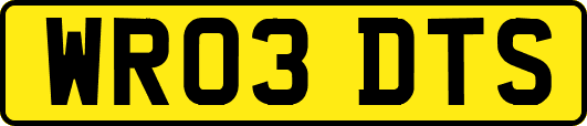 WR03DTS