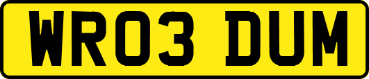 WR03DUM