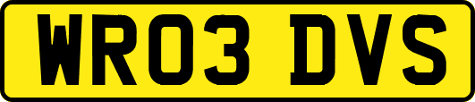 WR03DVS