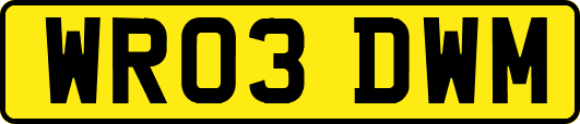 WR03DWM