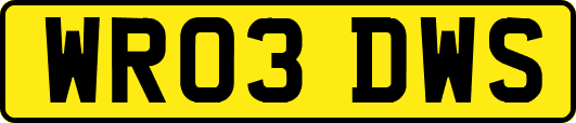 WR03DWS