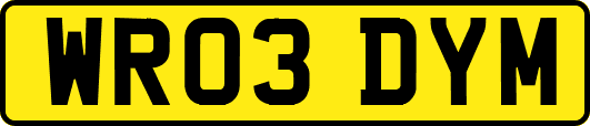 WR03DYM