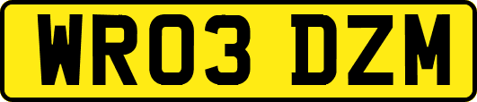 WR03DZM