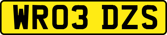 WR03DZS