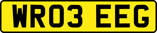 WR03EEG