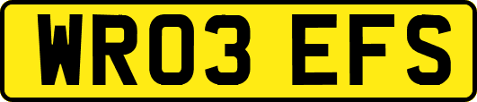 WR03EFS