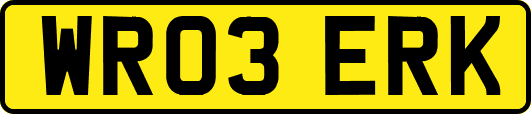 WR03ERK