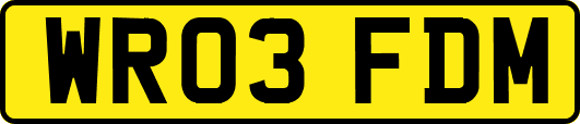 WR03FDM