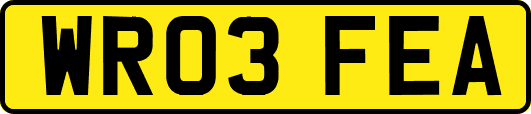 WR03FEA