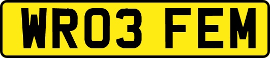 WR03FEM