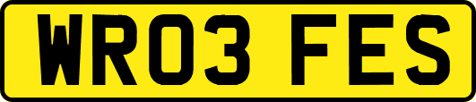 WR03FES
