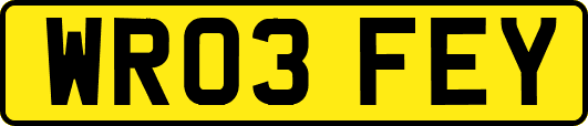 WR03FEY
