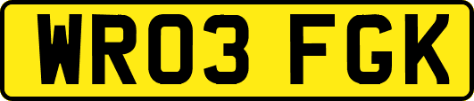WR03FGK