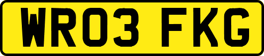 WR03FKG