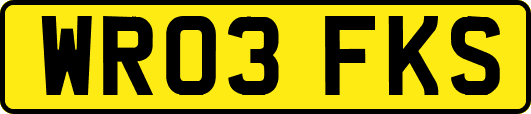 WR03FKS