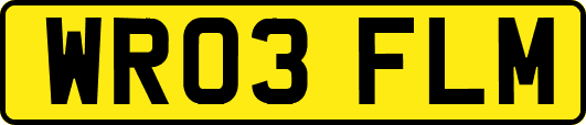 WR03FLM