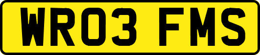 WR03FMS
