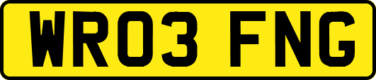 WR03FNG