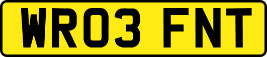WR03FNT