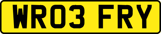 WR03FRY