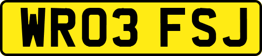 WR03FSJ