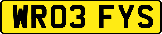 WR03FYS