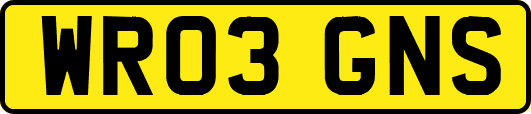 WR03GNS